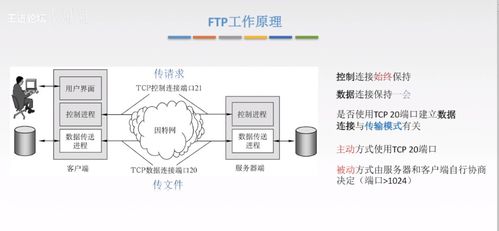 計算機網絡應用層核心技術 從C/S到P2P，從DNS到HTTP